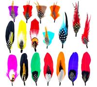 18 Pcs Hat Feathers, Assorted Feather for Fedora Hats, Colorful Natural Real Feathers Packs Accessories for DIY Craft Christmas Decorations Men Women Cowboy Pork Pie Trilby Hats, approx. 8-15 cm