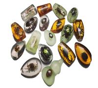 18 pcs Insect Amber Fossils, BOSOIRSOU Amber Fossil Pendants, Different Insect Specimen, Bug Preserved in Resin, Kids Educational Toy and Scientific Amber Collections - Random Patterns