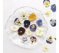 18 Pcs Real Pressed Flowers Bulk Kit,Nature Flowers Herb Set for Resin DIY Jewelry Candle Soap Vase Making Nail Card Scrapbook Art Craft Floral Decors