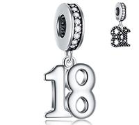 18 Years Birthday Dangle Charms fits Pandora DIY Necklace, 925 Sterling Silver 18th Anniversary Pendant Beads with CZ, Milestones Number 18 Bday Gifts for Cousin/Goddaughter