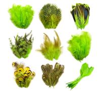 180 Pcs Green Feathers for Crafts 9 Styles for Crafting DIY Dream Catcher Hat Earrings Masks Wedding Home Party Decoration