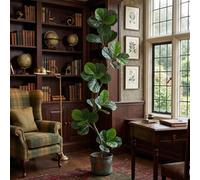 180Cm 6Ft Artificial Faux Fiddle Plant Lifelike Fiddle Leaf Fig Tree In Pot