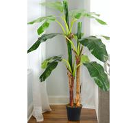 180Cm Artificial Banana Leaf Tree in Pot Living and Home Natural One Size