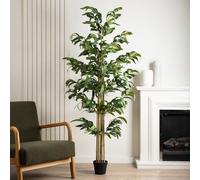 180cm Bamboo Tree Scottish Everlastings Ltd Green One Size