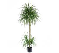 180cm Dracaena Realistic Artificial Tree