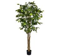 180cm Fire Retardant Deluxe Retusa Ficus Tree With 1134 Leaves