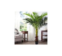 180CM Outdoor Artificial Areca Palm Tree - Realistic, UV-Resistant, Low-Maintenance Tropical Decor for Indoor & Outdoor Spaces