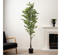180Cm Real Touch Ficus Tree Scottish Everlastings Ltd Green One Size