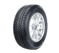 185/60 R14 82H Radar RW-5