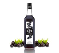 1883 Maison Routin Premium Blackcurrant Syrup, 1 Litre Glass Bottle | Flavoured Syrup, For Coffee, Tea, Cocktails, Iced Drinks & Desserts, Made with Pure Cane Sugar, No Artificial Colours, Vegan