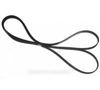 1885h8el Transmission for Ariston Tumble Dryer Belt - c00036195