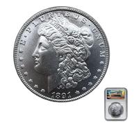 1891 Morgan Silver Dollar for Sale, Morgan Coin Fine Uncirculated,Deliver Coin dustproof Protective case