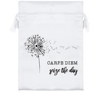 18cm 'Carpe Diem: Seize The Day' Satin Drawstring Bag/Pouch (SB00116026)