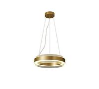 18''Diameter Nordic Minimalist Creative Pendant Lighting Fixture,40W Neutral Light Chandelier Lighting for Dining Living Room,Contemporary Rings Led Chandelier,65Cm(26Inch)