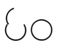 (18G 8mm) 2PCS 316L Surgical Steel Hypoallergenic Septum Jewelry Hinged Segment Ring Body Piercing Hoop Lip Rings Helix Cartilage Rook Sleeper Earrings
