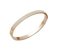 18K Silver Plated Stainless Steel Love Bangle Bracelet, Cubic Zirconia, Hinged Clasp, Screw Motif, Women's Friendship Jewellery (Silver)