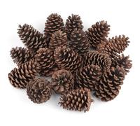 18PCS Large Natural Pine cones Christmas Natural Pine Cones Scented Pine Cones for Christmas Decor DIY Crafts and Home Decorations