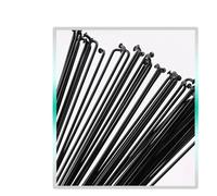 18Pcs Stainless Steel Mountain/Road Bike 14G 2mm Spokes Black Colour Fit For Bicycles Steel Spokes Cycling Accessories Bike Parts(18pcs 250MM)