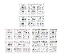 18PCS Workout Posters for Home Gym, Dumbbell Workout Exercise Poster, Large Routine Bundle Set, with More Fitness Gym Stretching, for Bodyweight Strength Training Home Decor