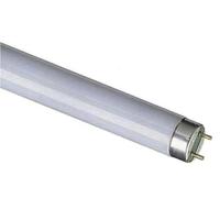 18W UV Tube 600mm (with Pins) T8 Format for Insect Trap Systems - 24” Ultraviolet Replacement Lamp for Effective Bug Attraction in Fly Control Devices