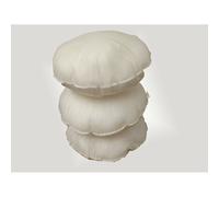 (18x18", pack of 2) Virgin Hollow Fiber Filled Round Shaped Circular Cushion Pads Scatters Fillers Inserts in 16" 18 20