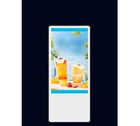 19 22 24 Inches Media Elevator Advertising Display Player, HD LCD Video Picture Screen with Remote for Building Elevator Lobby Hall(24.6X11.4IN)