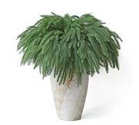 19.7" Christmas Norfolk Pine Branches, 16 Pcs Artificial Norfolk Pine Stems, Large Faux Xmas Branches for Xmas Greenery DIY Crafts Norfolk Picks for Garlands Wreath Home Garden Christmas Decoration