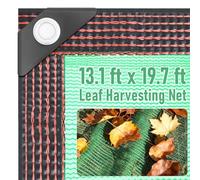 19.7' x 13.1' Fruits Harvest Collecting Netting - Heavy Duty HDPE Fruit Collector Netting Under Tree, Reusable Leaf Catcher & Berries Collection Net for Olive, Walnut, Apple, Pecan