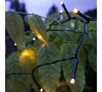 19.9M Suri Solar Warm White LED String Lights - 200 Lights
