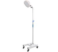 19-Hole LED Medical Examination Lamp, Mobile Type Floor Standing Surgical Light, Multiple Adjustment Methods, for ENT, PET
