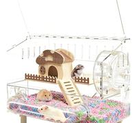 19-Inch Double-Layer Clear Acrylic Small Pet Cage - Built-in Feeding Bowl, Secure Lock & Ventilated Home/Travel Enclosure for Hamsters, Gerbils, Mice