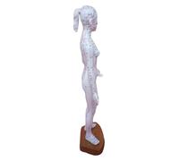 19-Inch Female Human Acupuncture Meridian Model, Annotated with Standard Acupoints, Traditional Chinese Medicine Body for Learning & Massage Instruction