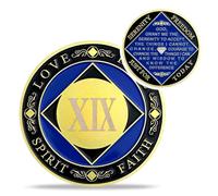 19 Year NA Medallions - Recovery Narcotics Anonymous Chips - 19 Year Living Clean Sobriety Coin - (Years 1-30) Journey Celebrate Recovery Addicts - Narcotics Anonymous Gifts for Men Women