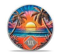 19 Year Sobriety Coin - Beach NA Medallions | Narcotics Anonymousa AA Chips and Medallions | Addiction Recovery Gifts for Celebrating Recovery Anniversary Milestones | Sobriety Gifts for Women & Men