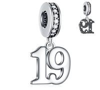 19 Years Birthday Dangle Charms fits Pandora Christmas Bracelet Necklace, 925 Sterling Silver 19th Anniversary Pendant Beads with Birthstones, Number 19 Bday Gifts for Family/BFF/Girl