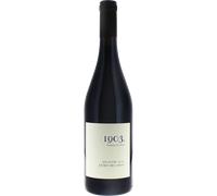 1903 Carignan 2023 - Roc des Anges