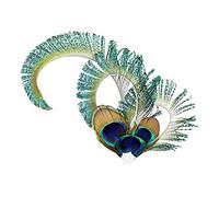 1920s Flapper Headband Accessories, Vintage Flapper Feather Headband, Black Feather Headband, Costume Prom Wedding Carnival Party, 20s Hair Accessories, Feathered Fascinators (Green, One Size)