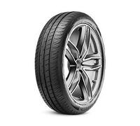 195/55 R20 95H XL Radar Dimax Eco
