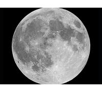 1969-Walking on the Moon