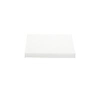 Pollen / Cabin Filter fits PEUGEOT BOXER 2021 on Bosch 1613733080 6447YA 6447YC