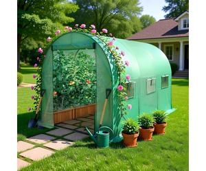 (19MM, 3X2X2M) BIRCHTREE Fully Galvanised Frame Polytunnel Greenhouse Pollytunnel Poly Tunnel