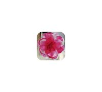 19mm Extra Large Rose Flower Brooches Lapel Pins Dainty Satin Fabric Brooches Big Camellia Flower Brooch Pin for Women Wedding Part Dance Clothes Accessories Jewelry, 19inch, cloth, no gemstone