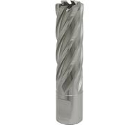 19mm X 50mm Depth Rotabor Cutter - M2 Steel Annular Metal Core Drill 19mm Shank