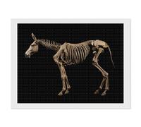 19th Century Donkey Skeleton Funny Diamond Art Kits DIY Full Drill Round Diamonds Arts Painting Wall Decor