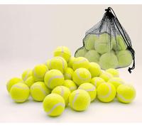 1ABOVE Pack Of 24 Durable Sport Play Tennis Cricket Dog Toy Ball with Mesh Carrying Bag, Sturdy & Durable, Great For Lessons, Practice, Throwing Machines Adults Children Exercise Pets