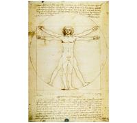 1art1 14087 Poster Leonardo Da Vinci Vitruvian Man VI 91 x 61 cm