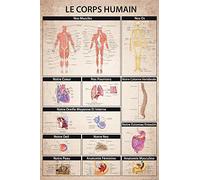 1art1 The Human Body Poster - Anatomy Muscles Bone Organs | Poster in French 91 x 61 cm | Educational Poster