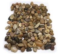 1Buy UK 1kg New Assorted Browns Natural Decorative Stones Pebbles Craft Table Decoration Pot Vase Fillers Garden Weddings Rocks Aquarium