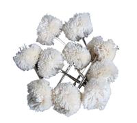 1inch 10Pcs Rotary Brush Sanding Polishing Buffing Grinding Wheel for Tools 25mm Round Wool Felt Accessories wanglan(10pc thread,With 3mm shank)