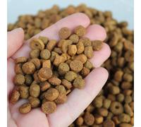 (1kg Bag) Superpet Super Premium Fox Badger And Hedgehog Food